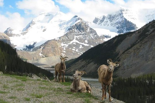 Tour image 6