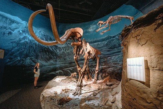 Tour image 1