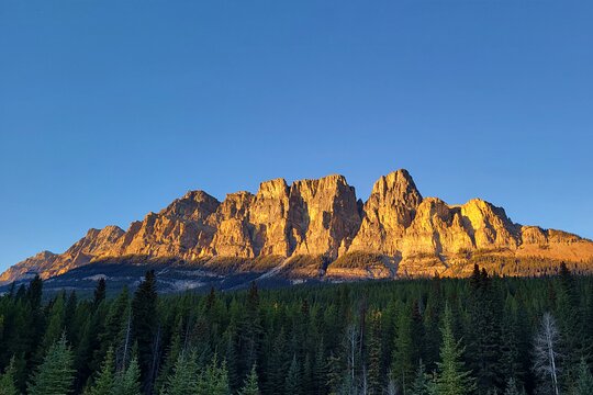 Tour image 6