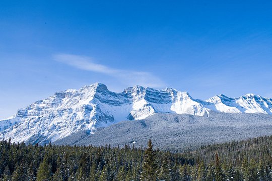 Tour image 14